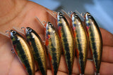 Pan Handmade Balsa Lures