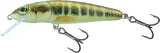 Salmo Minnow Floating