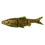 LB ROACH SWIM & JERK ROACH Lures