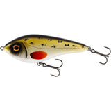 Westin Swim Glidebait 15cm