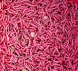 MAGGOTS – THE PERFECT FISHING BAIT