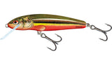 Salmo Minnow Floating