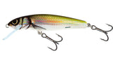 Salmo Minnow Floating