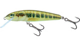 Salmo Minnow Floating