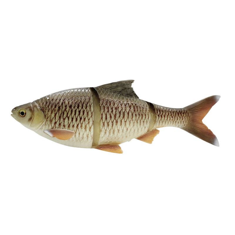 Savage Gear 4D LINE THRU ROACH – Baracuda Fishing Tackle