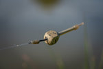 Guru Tackle - X-Safe Spare Elastics