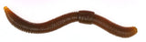 Spro Trout Master Dendrobaena 60