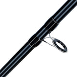 AXIA Pegasus Beachcaster Rods