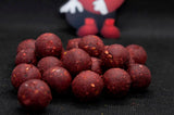 Dudi Bait "Forest Squid" Soluble Boilies