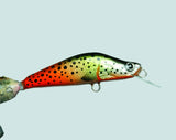 Pan Handmade Balsa Trout Lures