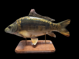 3D Mirror Carp Statues