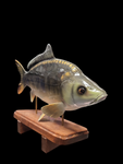 3D Mirror Carp Statues