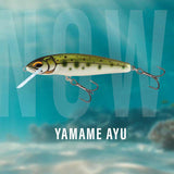 Salmo Minnow Floating