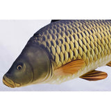 NGT Common Carp Fish Pillow