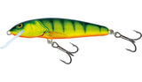 Salmo Minnow Sinking