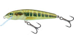 Salmo Minnow Sinking