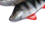 Fox Rage Ultra Natural Fillets soft lures