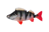 Fox Rage Ultra Natural Fillets soft lures