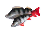 Fox Rage Ultra Natural Fillets soft lures