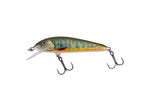 Salmo Minnow Sinking