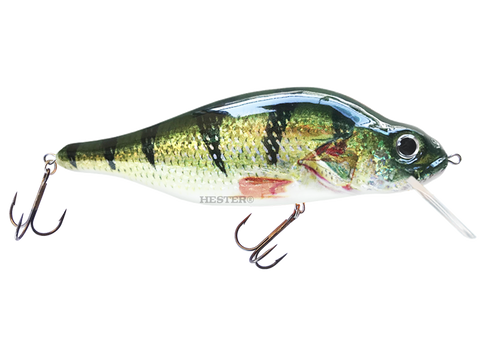 Hester Monster Polish Perch – Baracuda Fishing Tackle